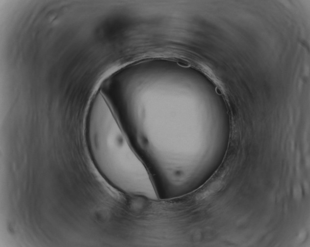 X0000093430803200710120916