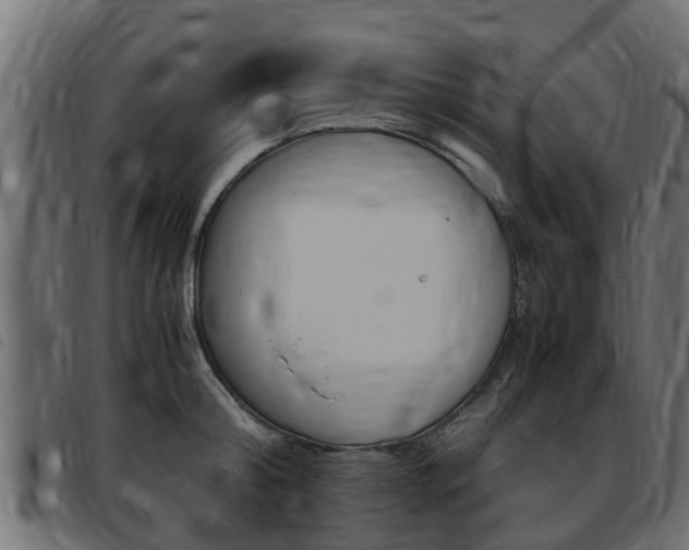 X0000093430804200710120916