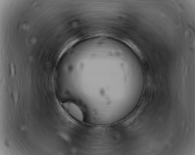 X0000093430806200710120916