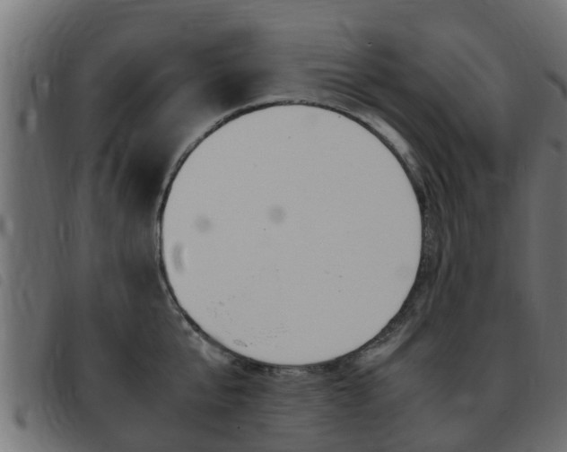 X0000093430807200710120916
