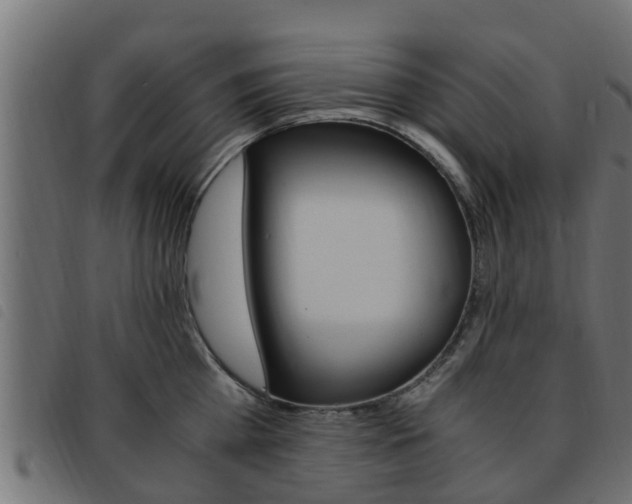 X0000093430809200710120916