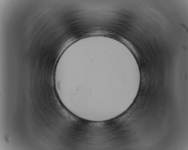 X0000093430810200710120916