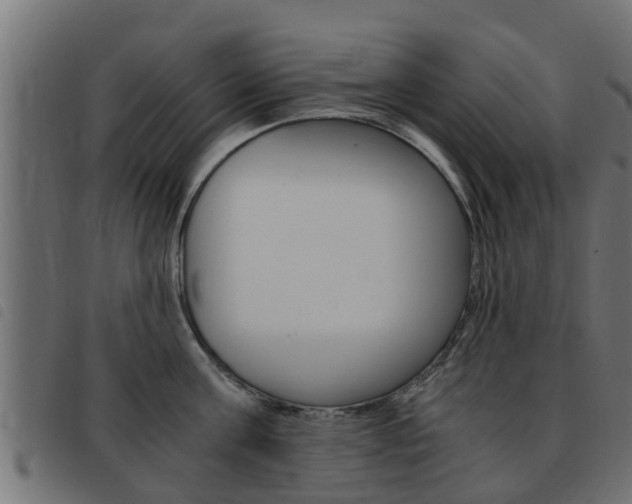 X0000093430811200710120916