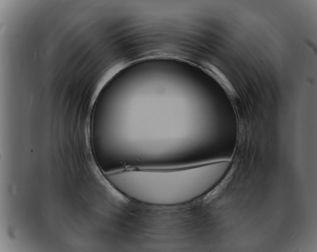 X0000093430812200710120916