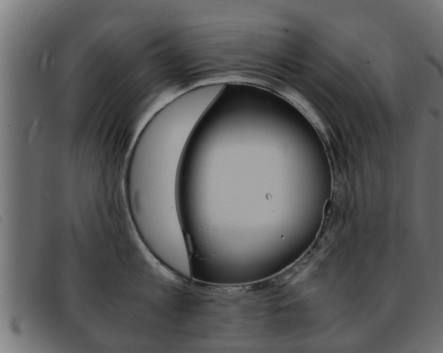 X0000093430813200710120916