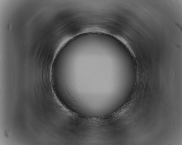 X0000093430815200710120916