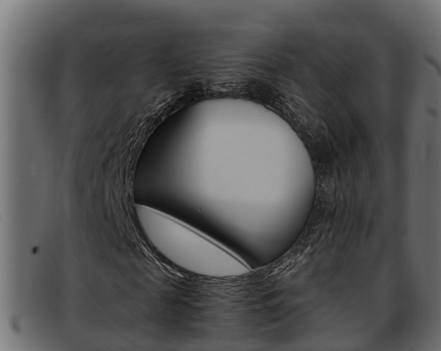 X0000093430817200710120915