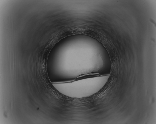 X0000093430818200710120915