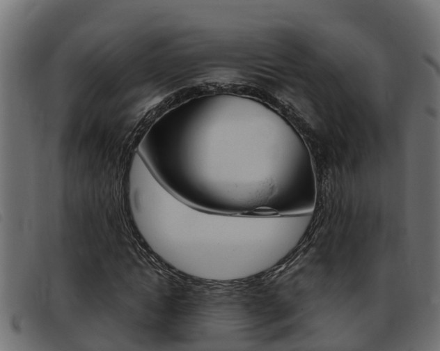 X0000093430822200710120916