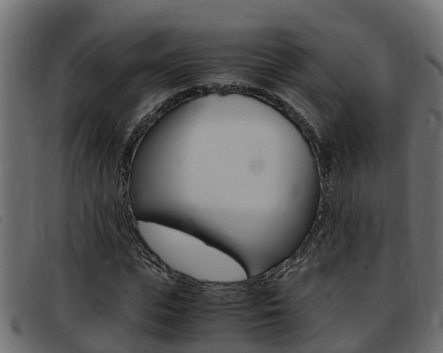 X0000093430823200710120916