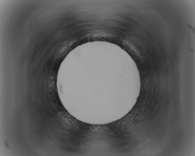 X0000093430824200710120916