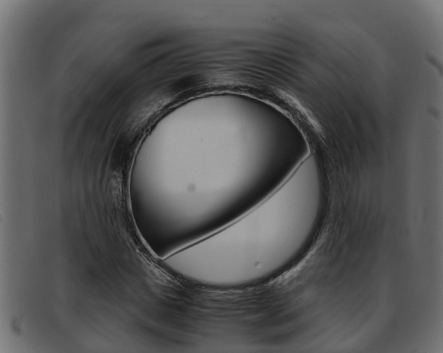 X0000093430825200710120916