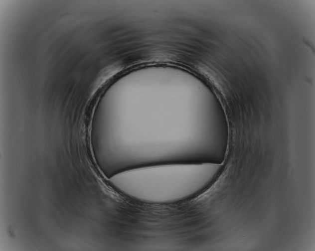 X0000093430827200710120916