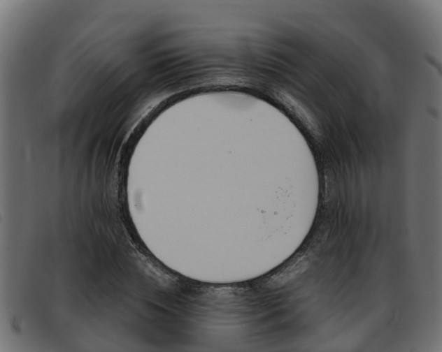 X0000093430828200710120916