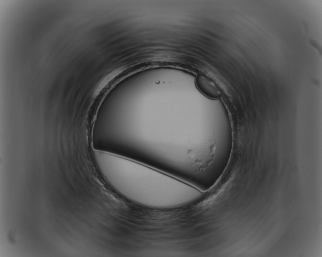 X0000093430829200710120916