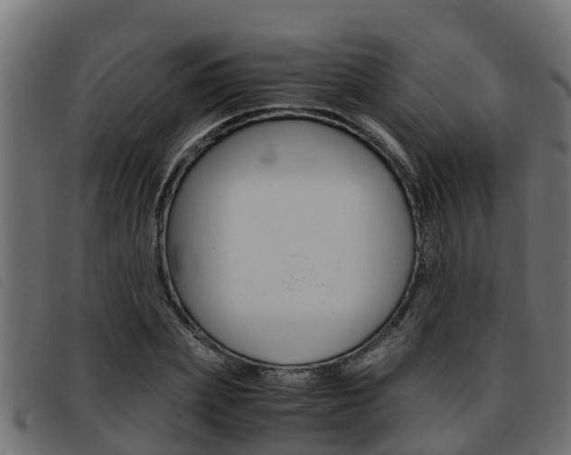 X0000093430831200710120916