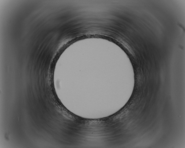 X0000093430832200710120916