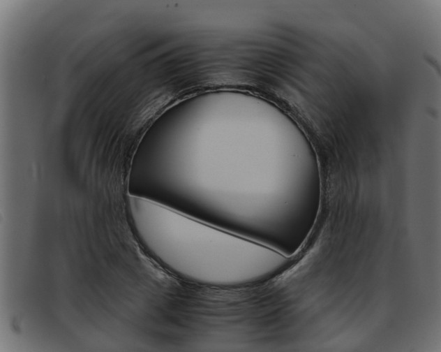 X0000093430833200710120916