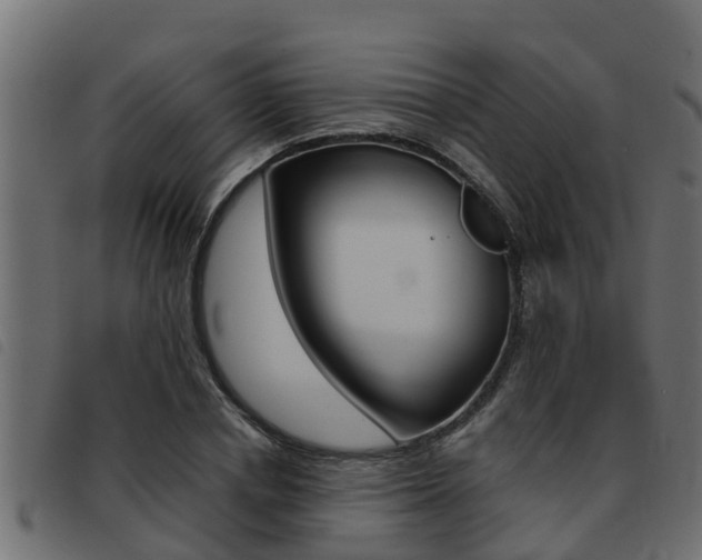 X0000093430834200710120916