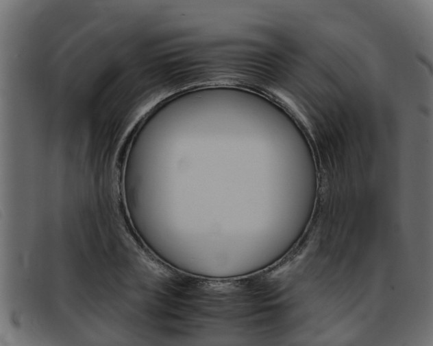 X0000093430835200710120916