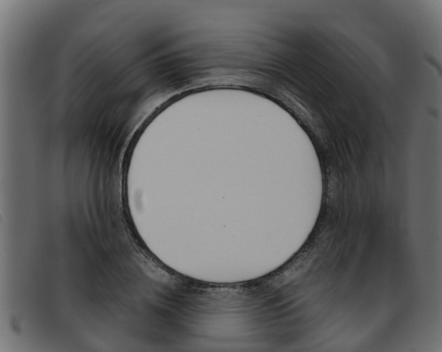 X0000093430836200710120916
