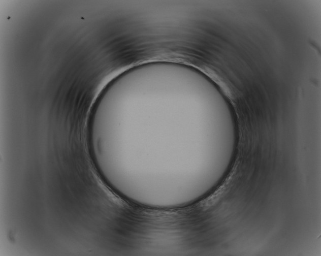 X0000093430838200710120916