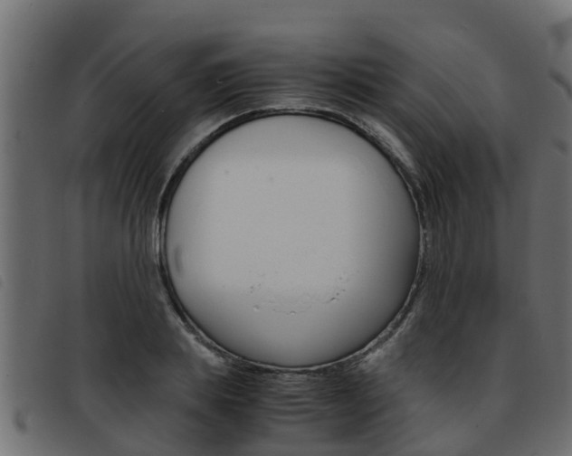 X0000093430839200710120916