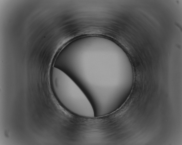 X0000093430840200710120916
