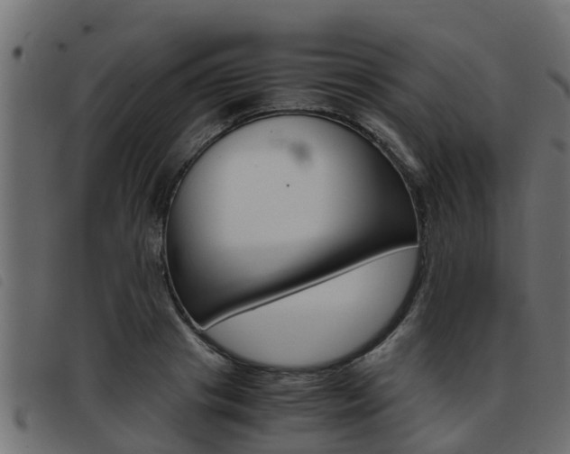 X0000093430841200710120916