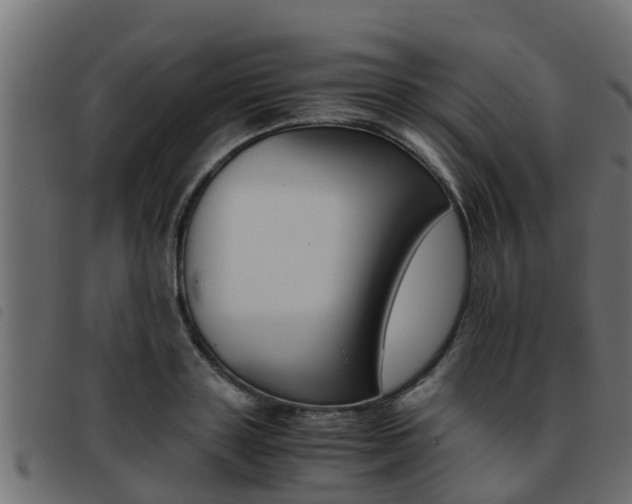 X0000093430843200710120916