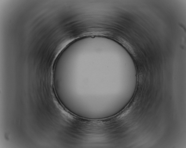 X0000093430844200710120916