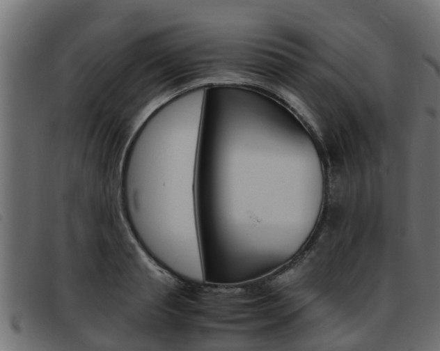 X0000093430845200710120916