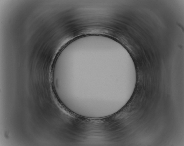 X0000093430848200710120916