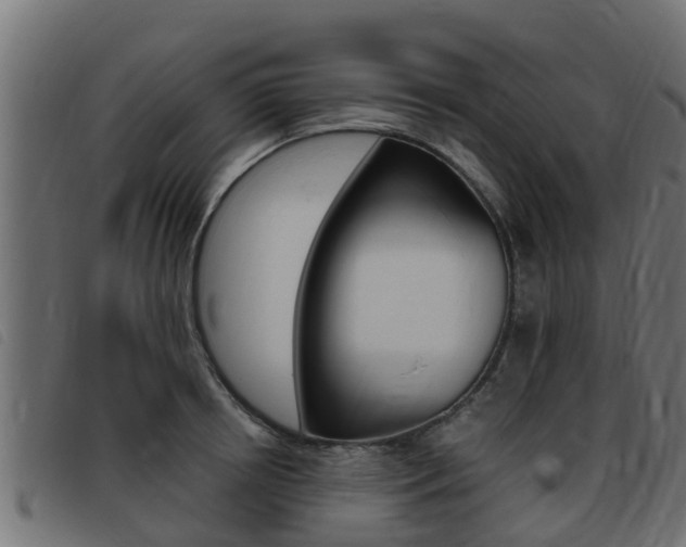 X0000093430850200710120916