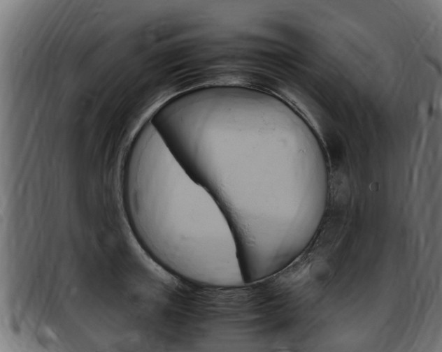 X0000093430851200710120916