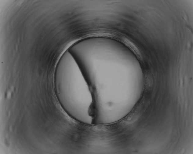 X0000093430852200710120916