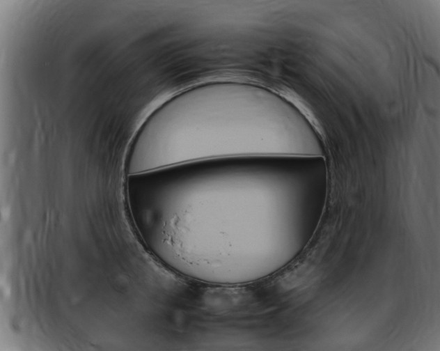 X0000093430853200710120916