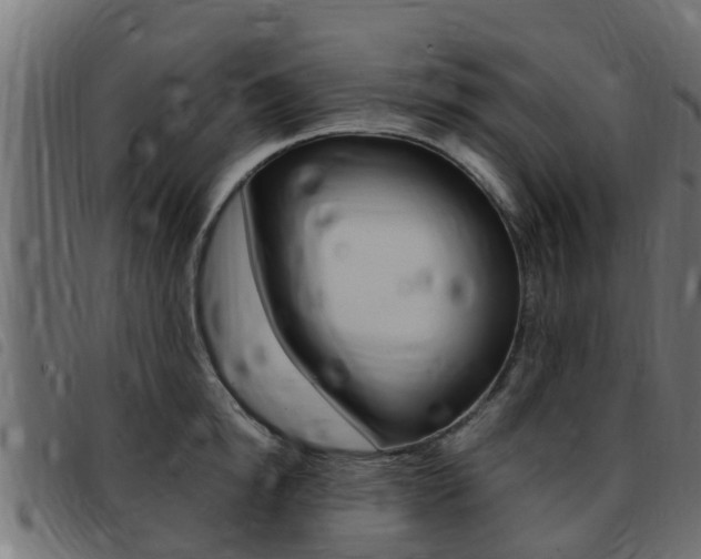 X0000093430854200710120916