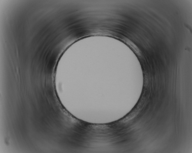 X0000093430856200710120916
