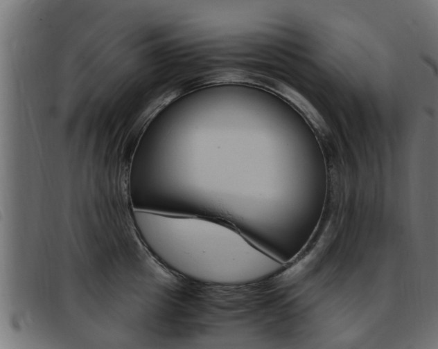 X0000093430857200710120916