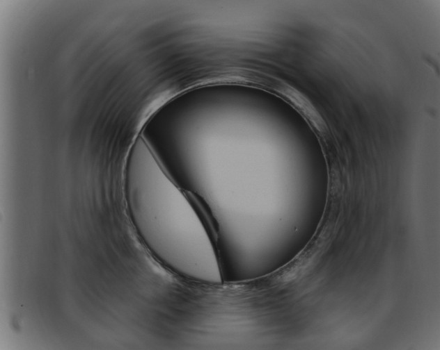 X0000093430858200710120916