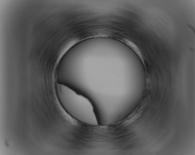 X0000093430859200710120916