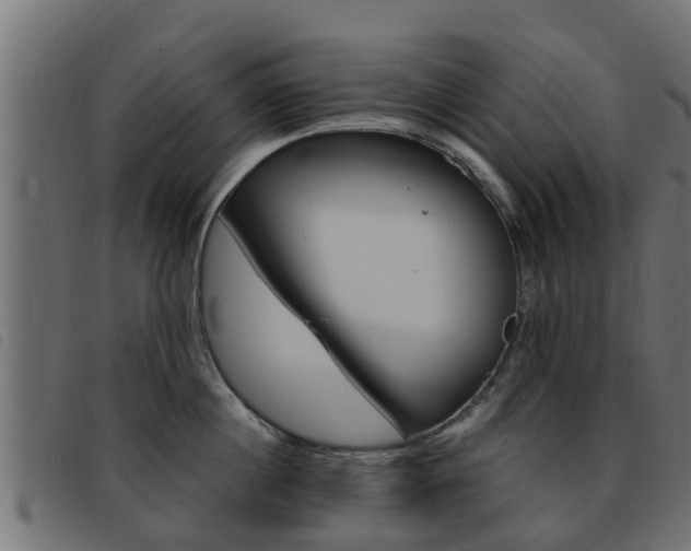 X0000093430860200710120916