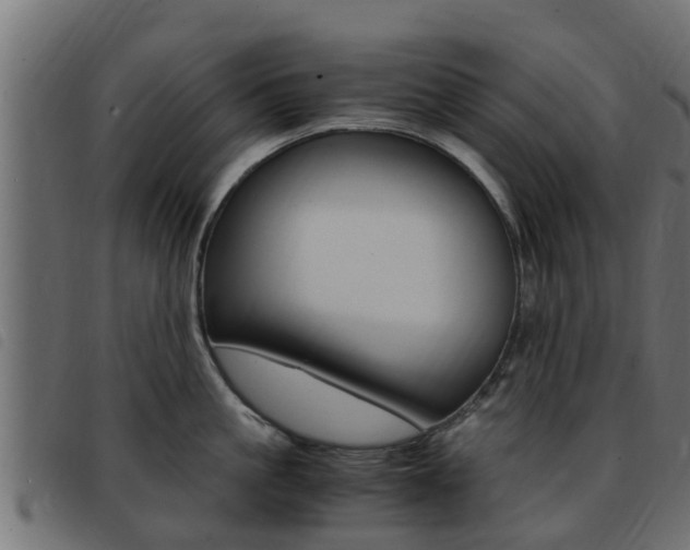 X0000093430861200710120916