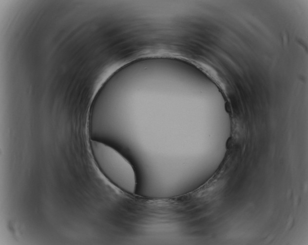 X0000093430863200710120916