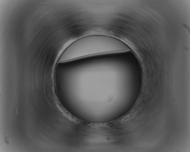X0000093430864200710120916