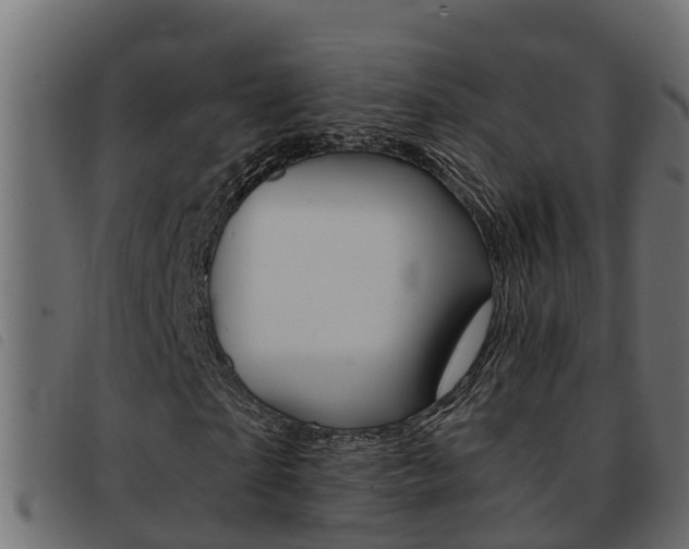 X0000093430865200710120915