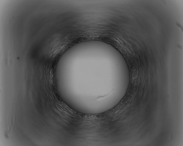 X0000093430866200710120915