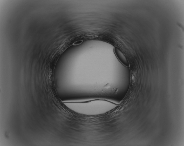 X0000093430867200710120915