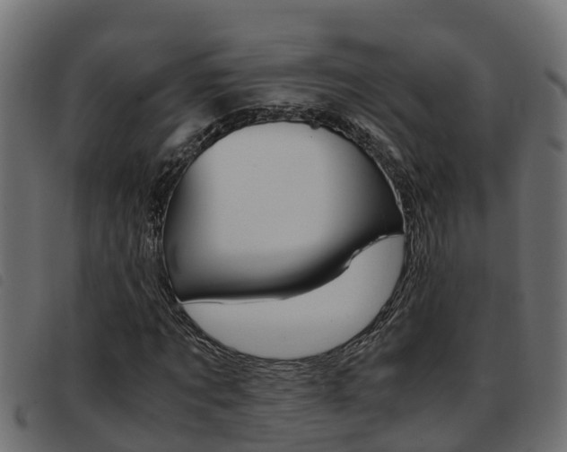 X0000093430869200710120915